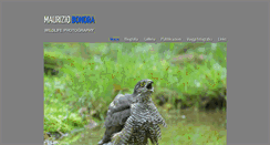 Desktop Screenshot of mauriziobonora.com